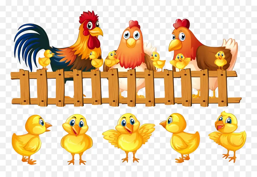 Aves De Corral，Pollos PNG