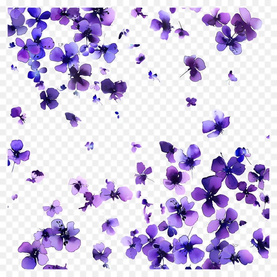 Fondo Morado，Flores Moradas PNG