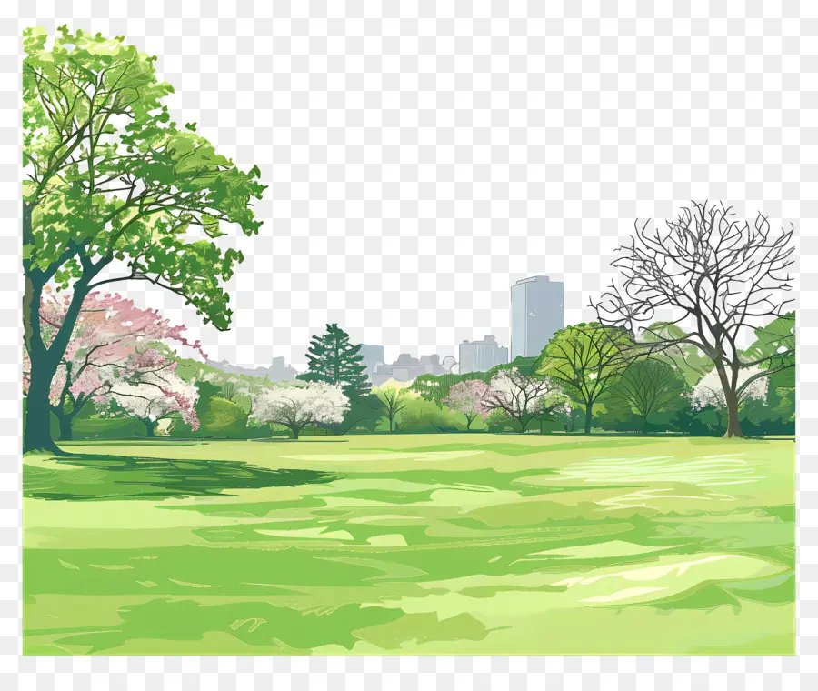 Fondo De Primavera，Parque PNG