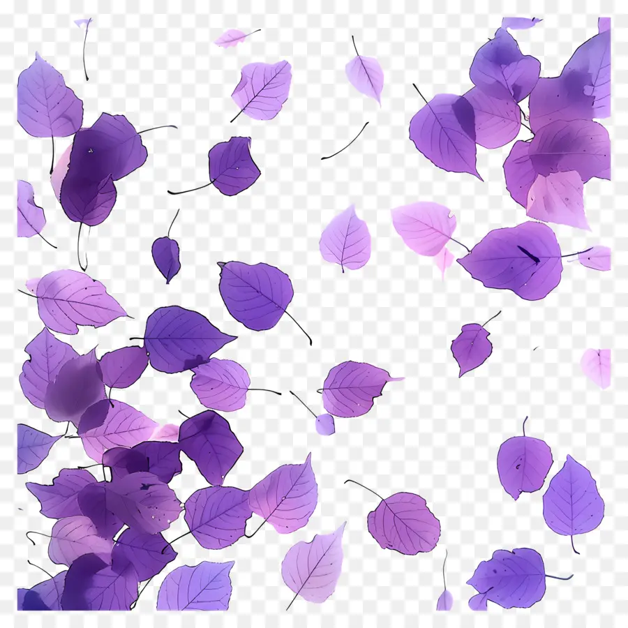 Fondo Morado，Hojas Moradas PNG