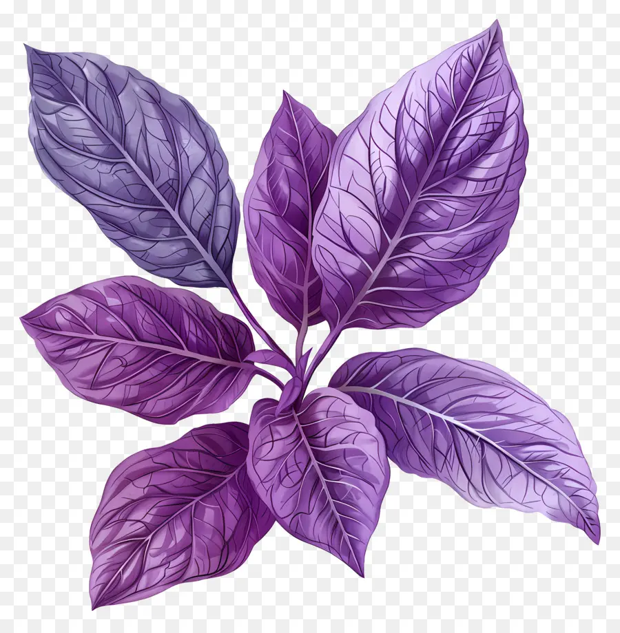 Fondo Morado，Hojas Moradas PNG