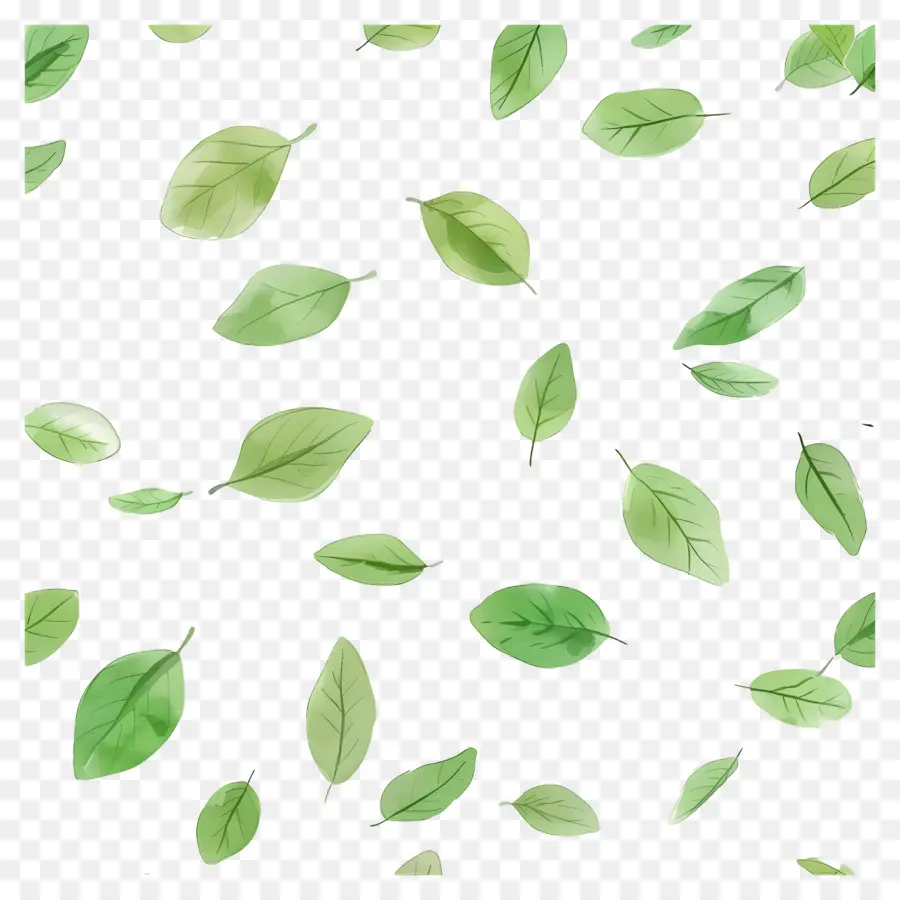 Fondo Verde，Hojas Verdes PNG