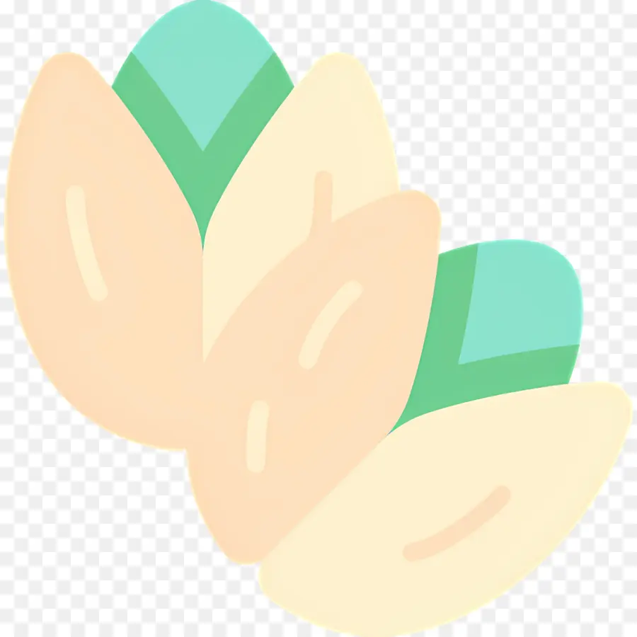 Pistacho，Pistachos PNG