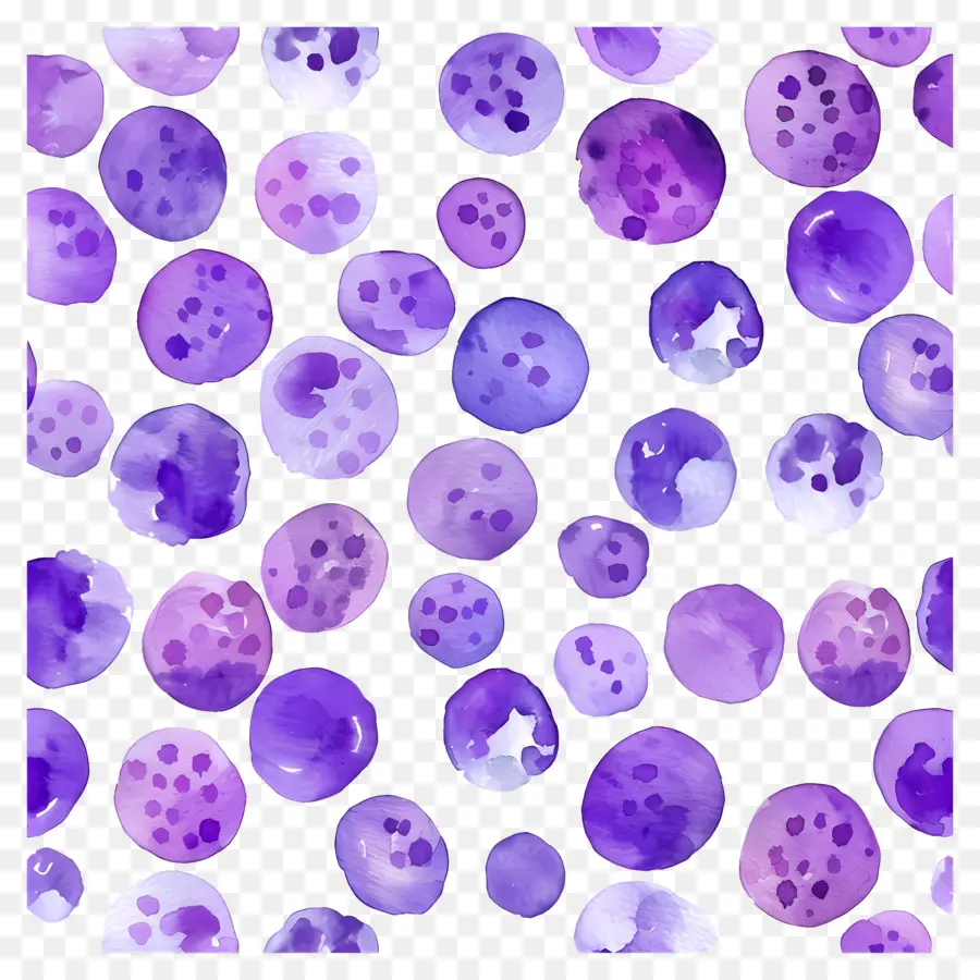 Fondo Morado，Puntos Morados PNG