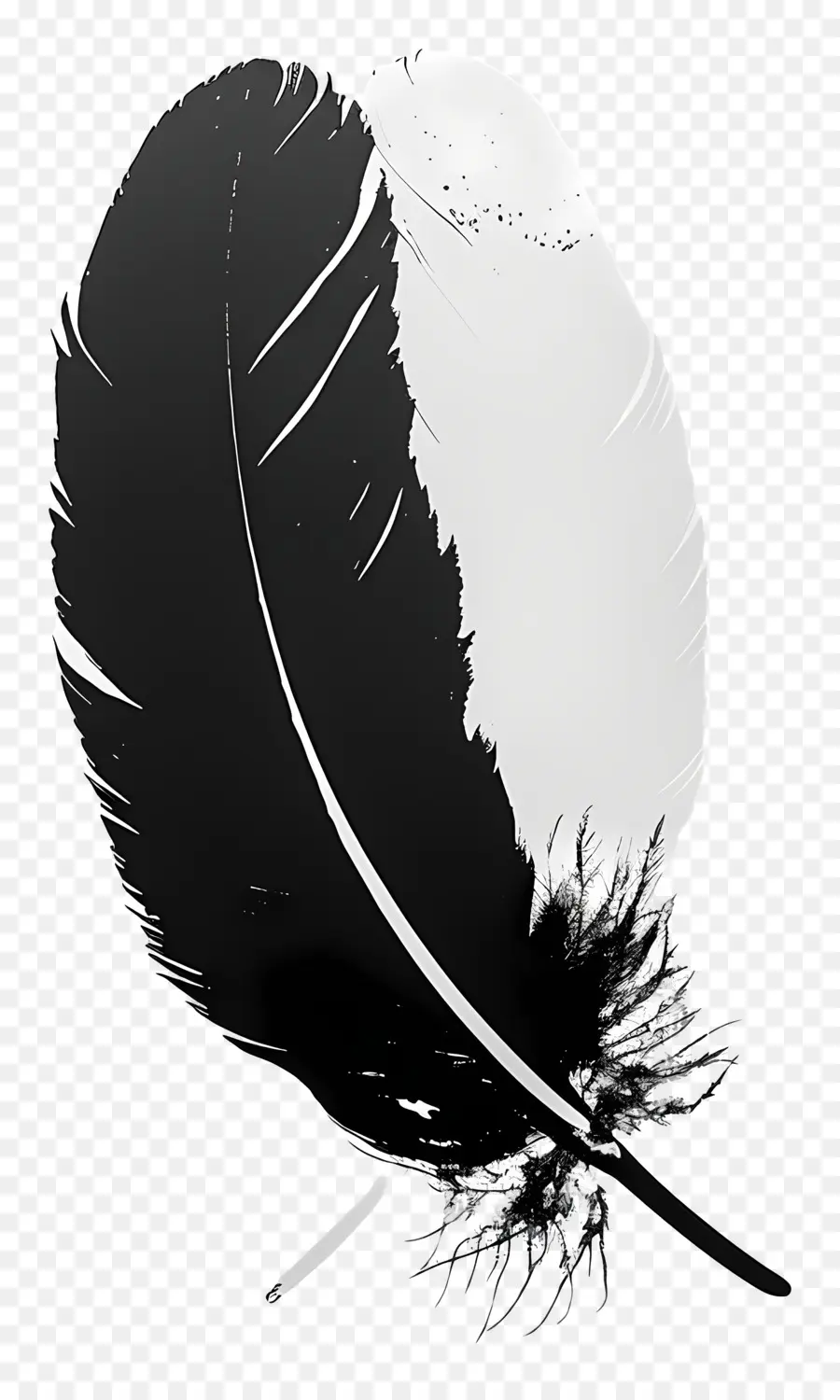 Pluma，Pluma Negra PNG