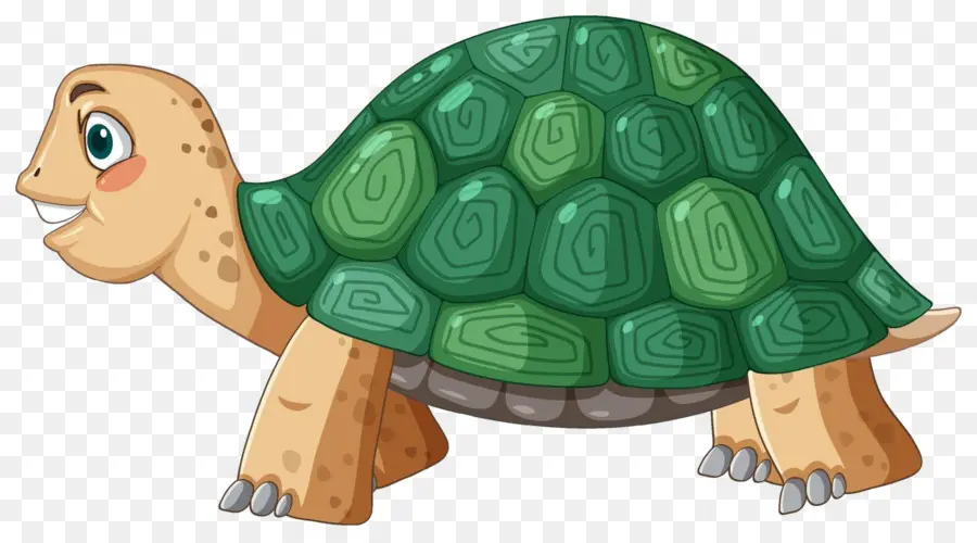 Tortuga De Dibujos Animados，Reptil PNG