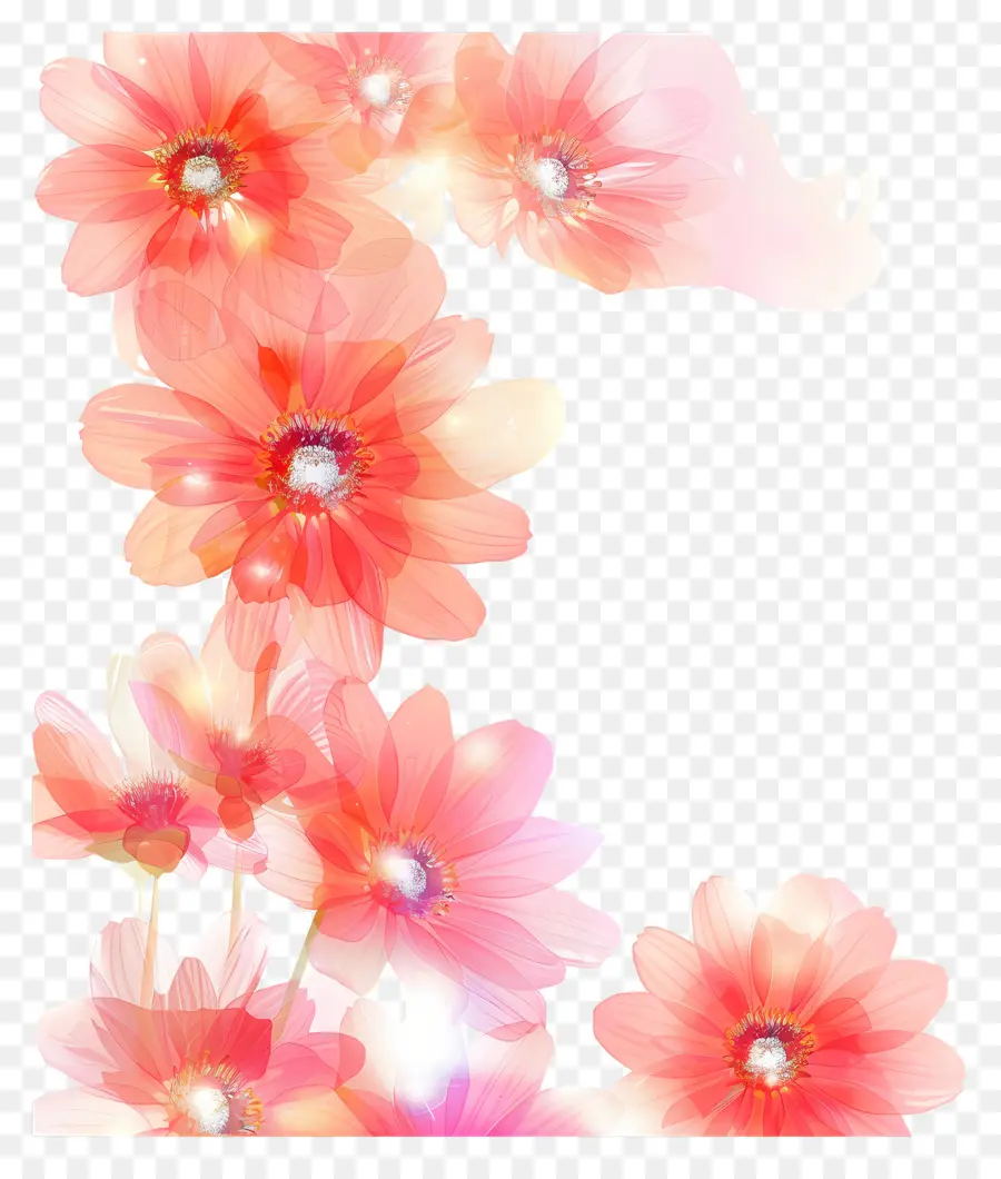 Fondo De Flores，Número Uno Floral PNG