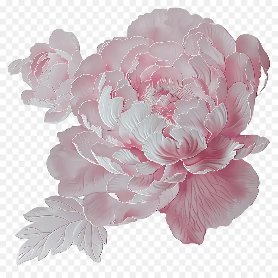 Peonía Rosa，Flor De Peonía PNG