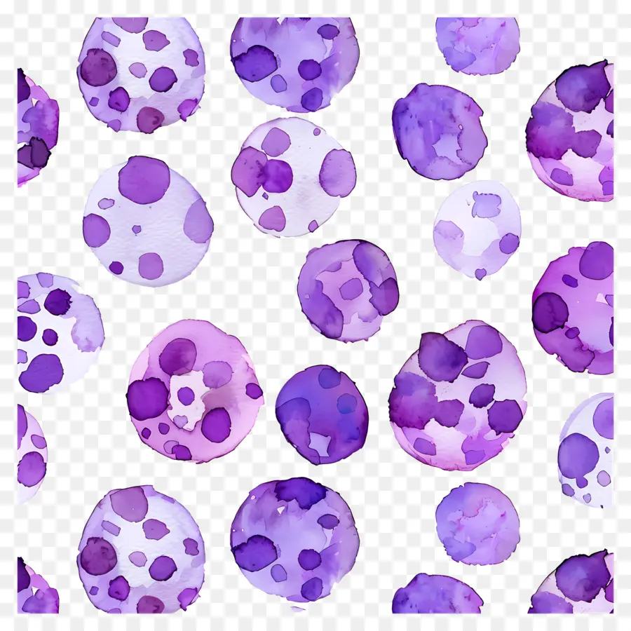 Fondo Morado，Puntos Morados PNG