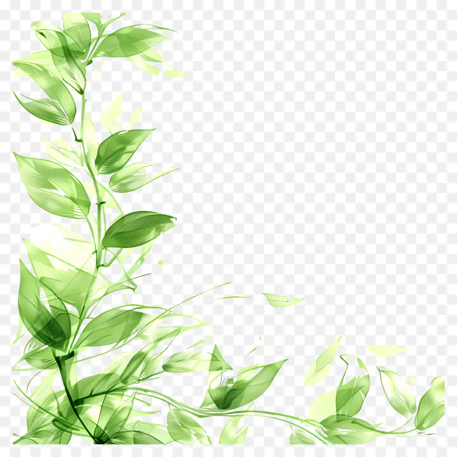 Fondo De La Naturaleza，Hojas PNG