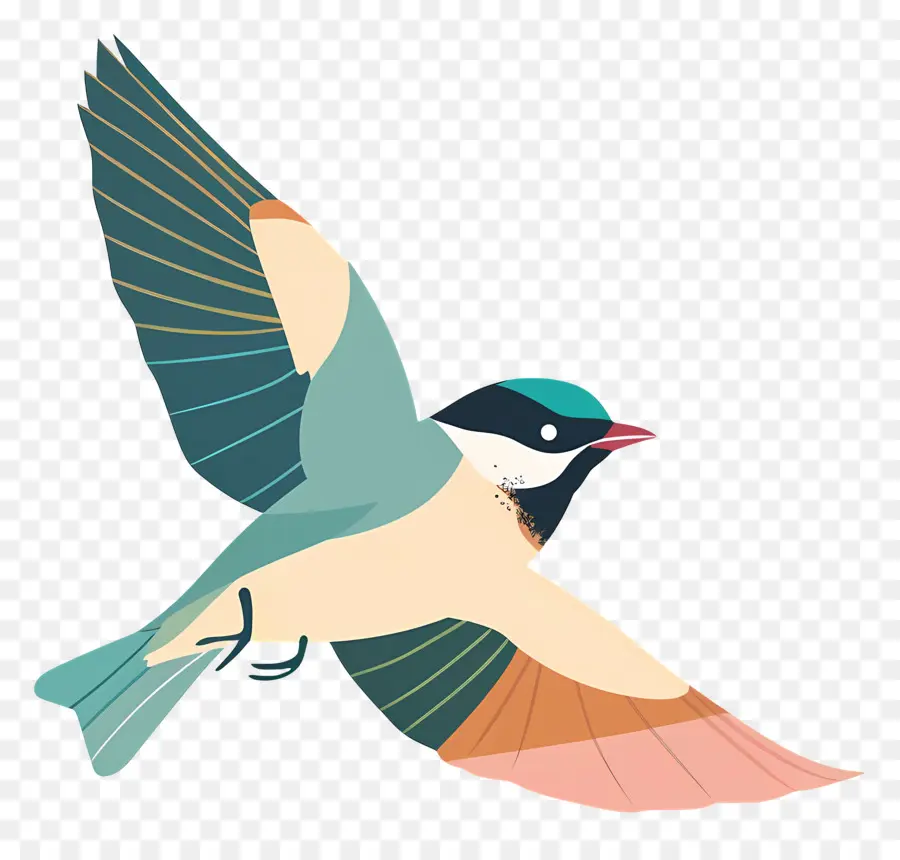 Pájaro，Pájaro Colorido PNG