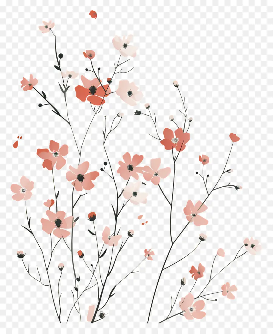 Fondo De Flores，Flores De Cerezo PNG