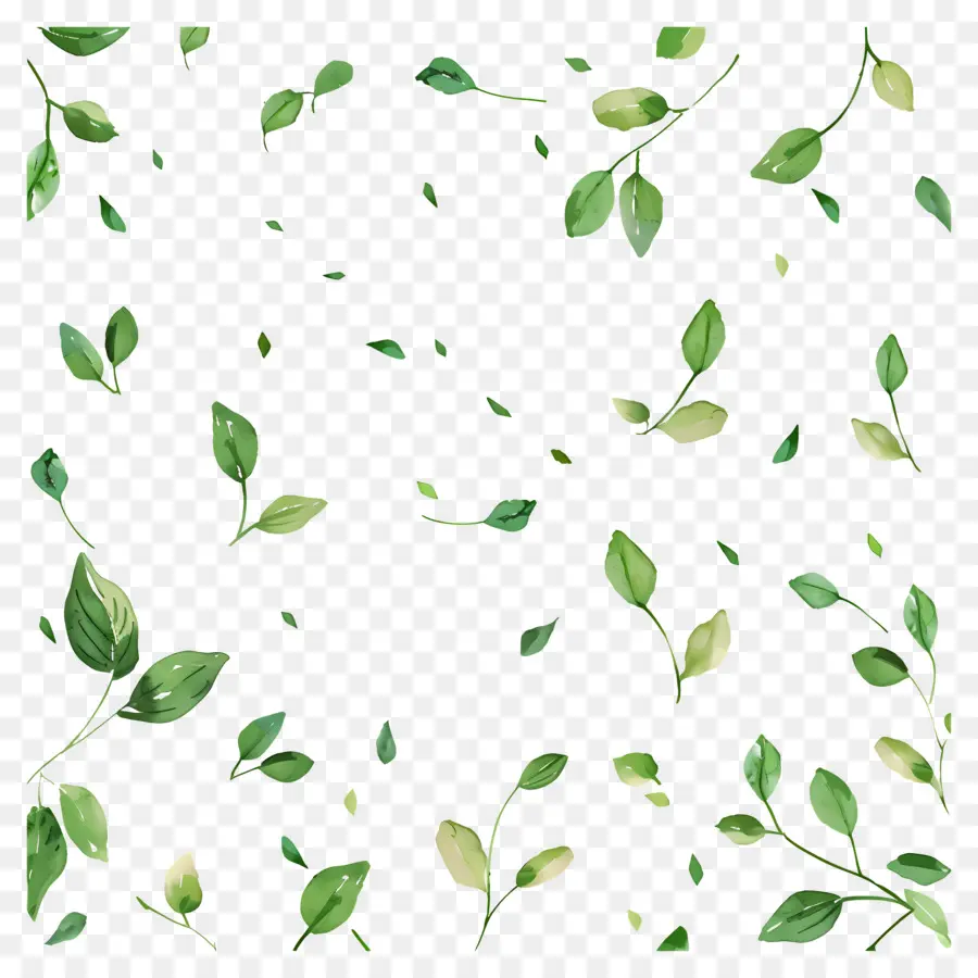 Fondo Verde，Hojas Verdes PNG