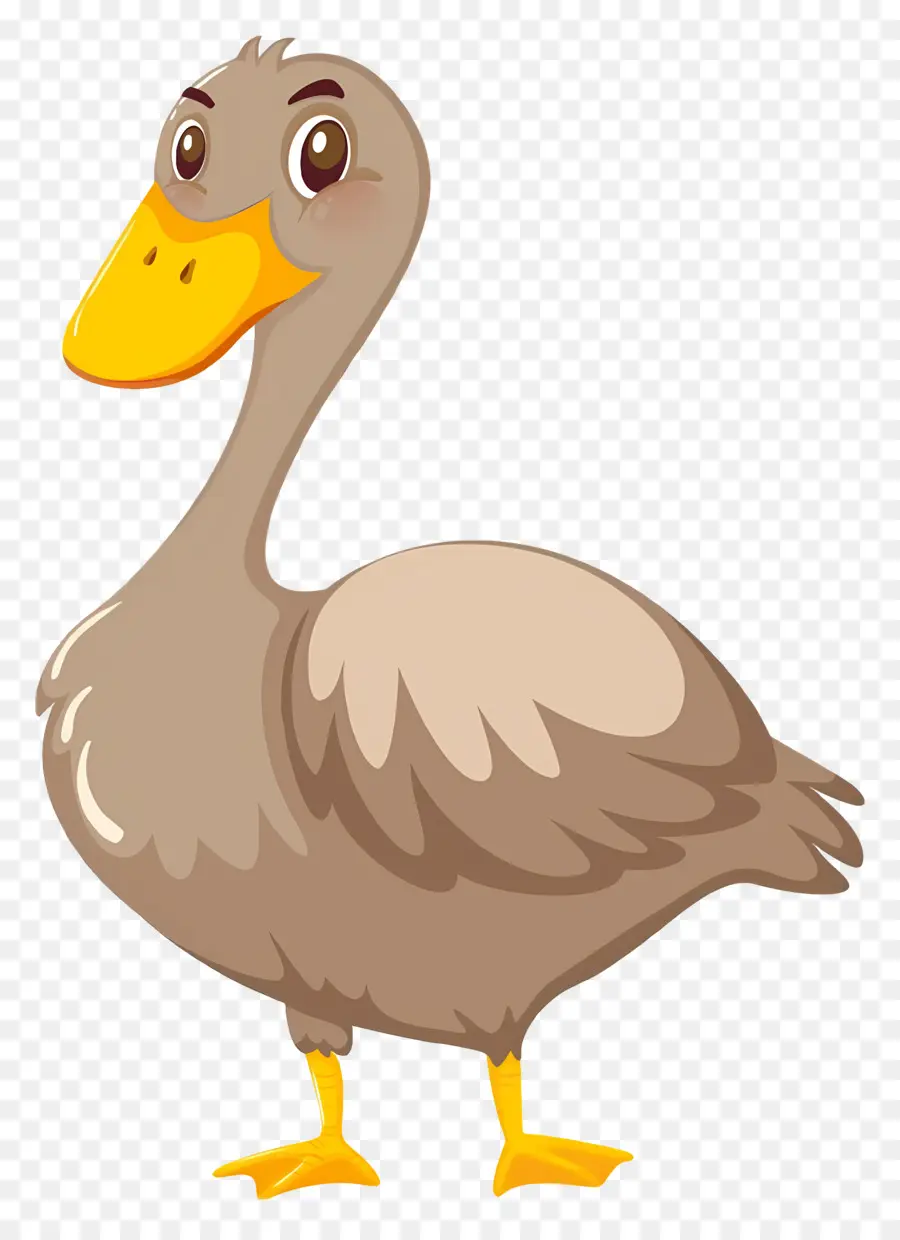 Pato De Dibujos Animados，Pato PNG