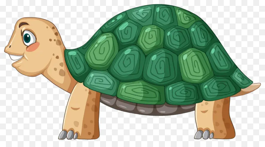 Tortuga De Dibujos Animados，Reptil PNG