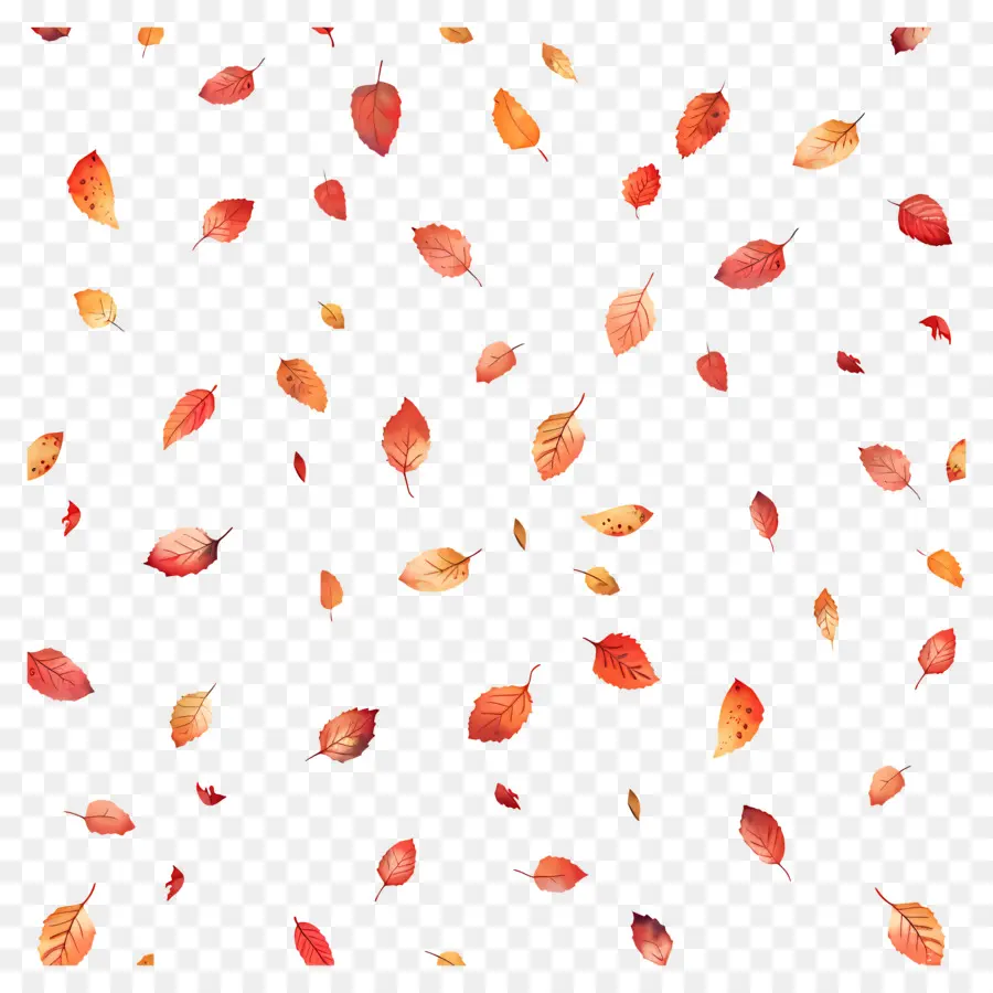 Fondo De Otoño，Hojas PNG