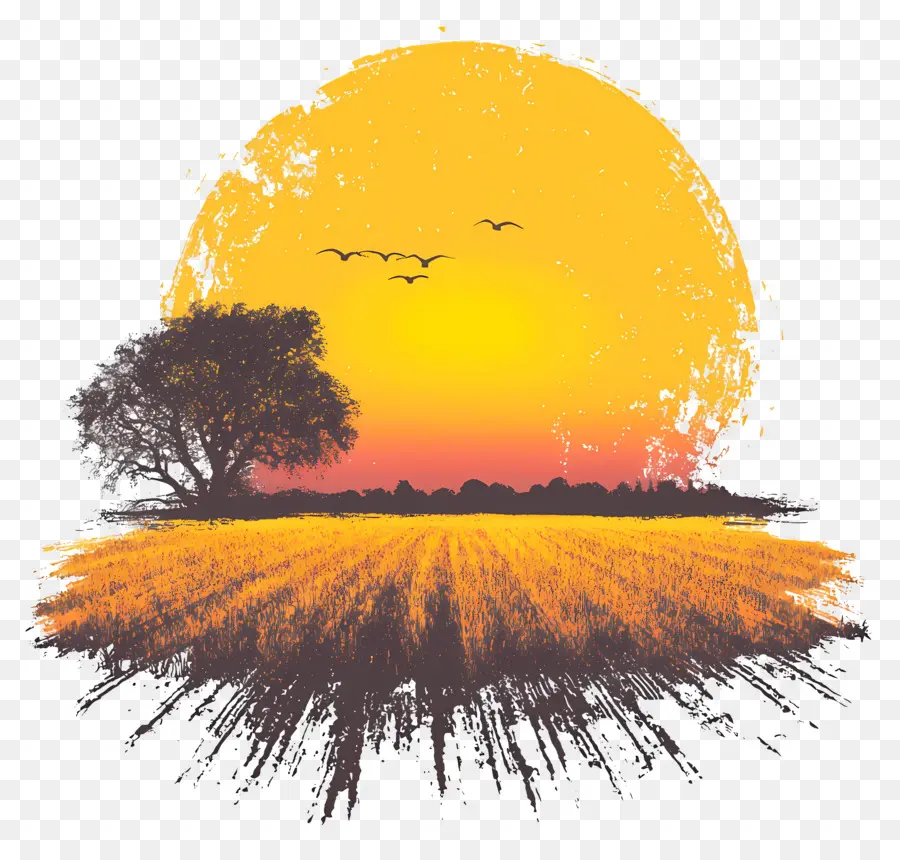 Amanecer，Campo Al Atardecer PNG