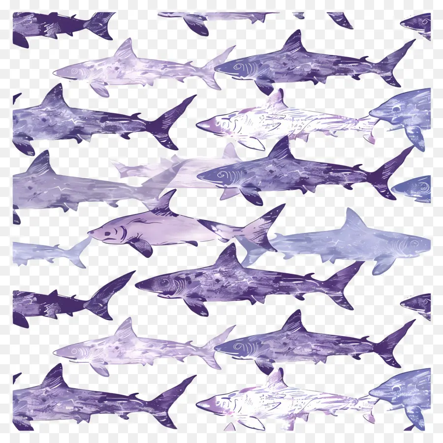 Patrón De Tiburón，Tiburones PNG