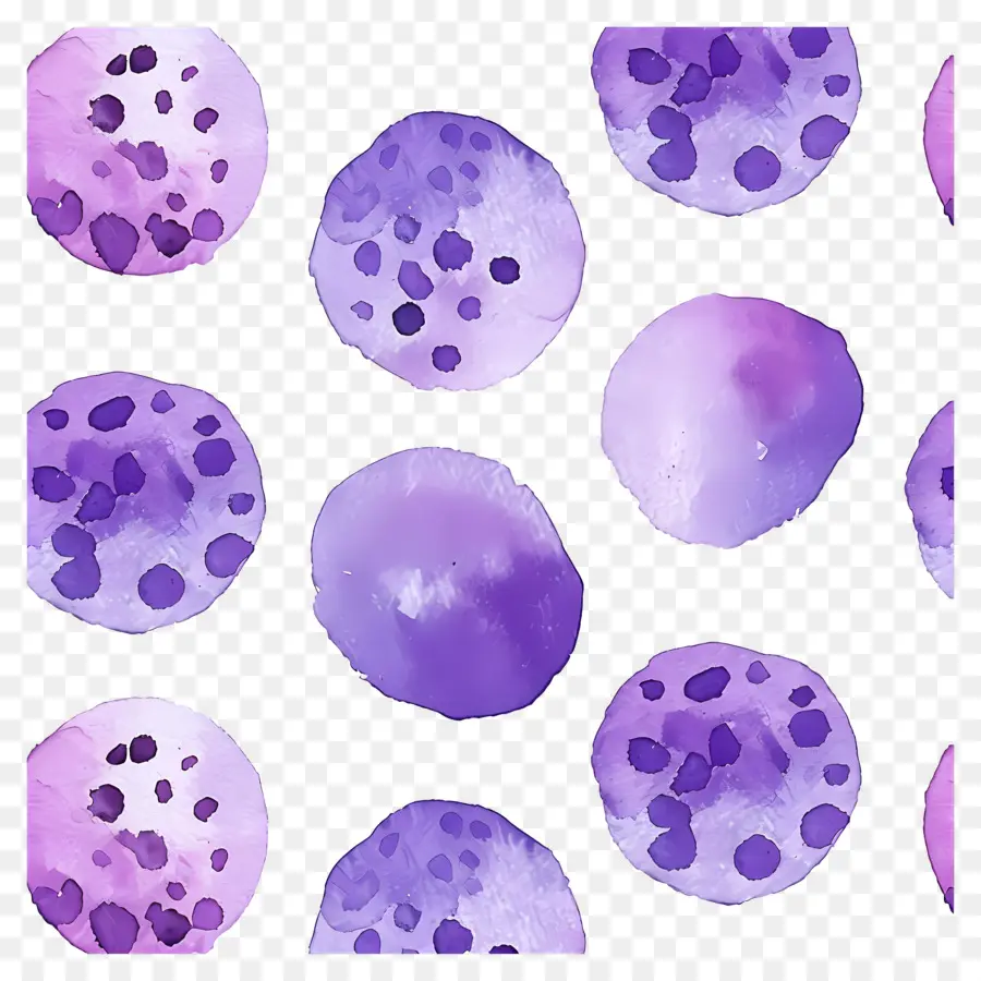 Fondo Morado，Puntos Morados PNG