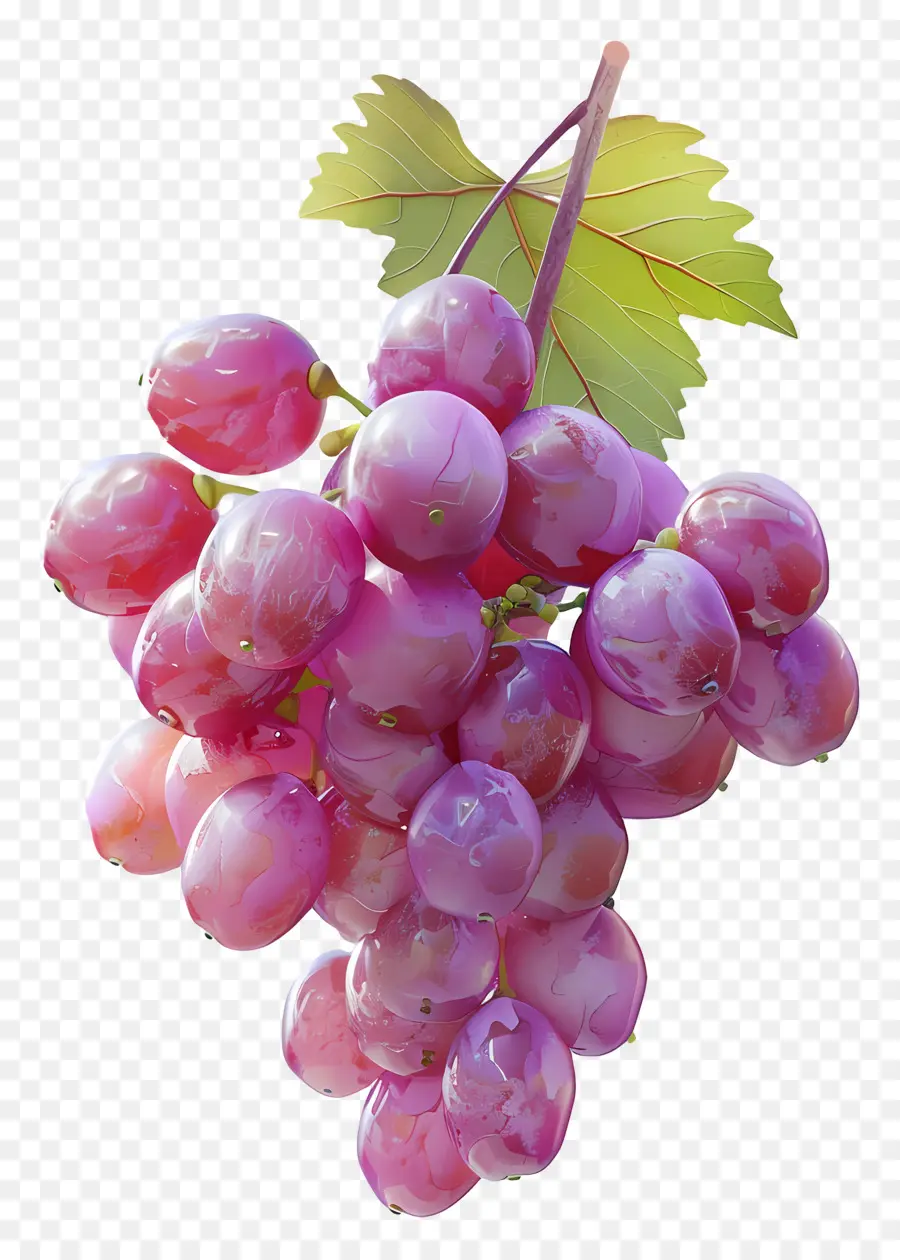 Racimo De Uvas，Uvas PNG