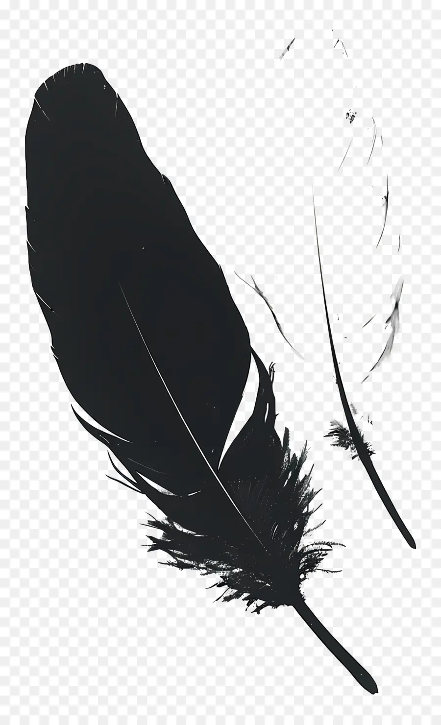 Pluma，Negro PNG