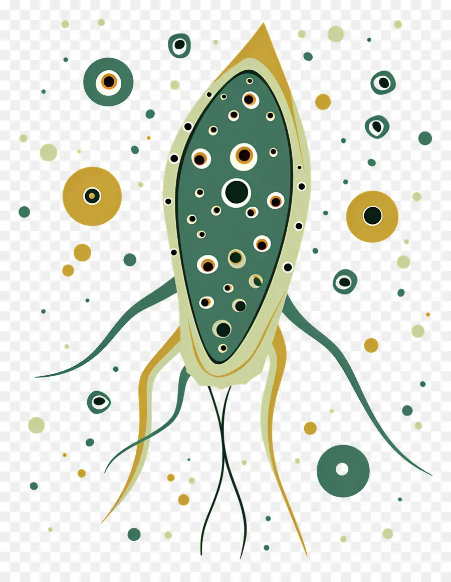 Plancton，Bacterias PNG