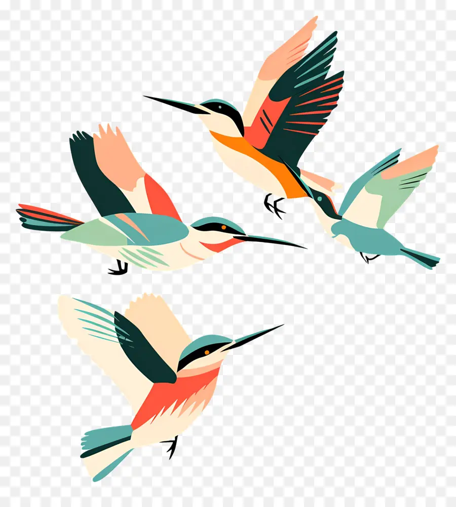 Aves，Vuelo PNG