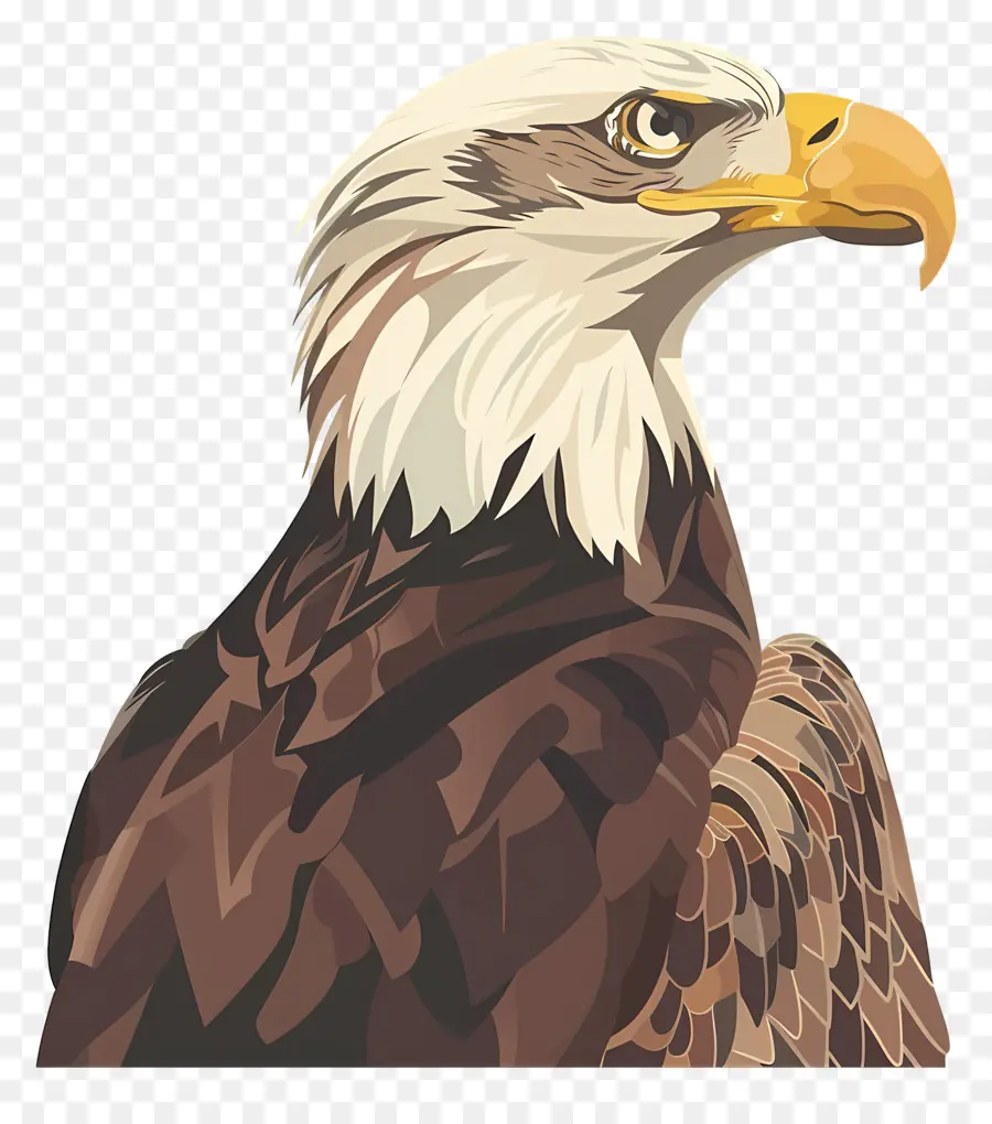 Águila，Cabeza De águila PNG