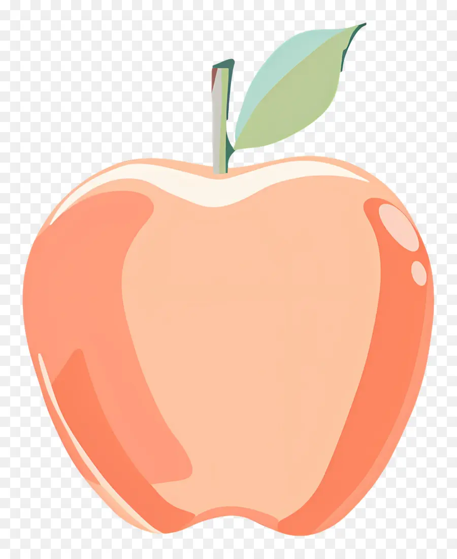 Manzana，Esquema De Manzana PNG