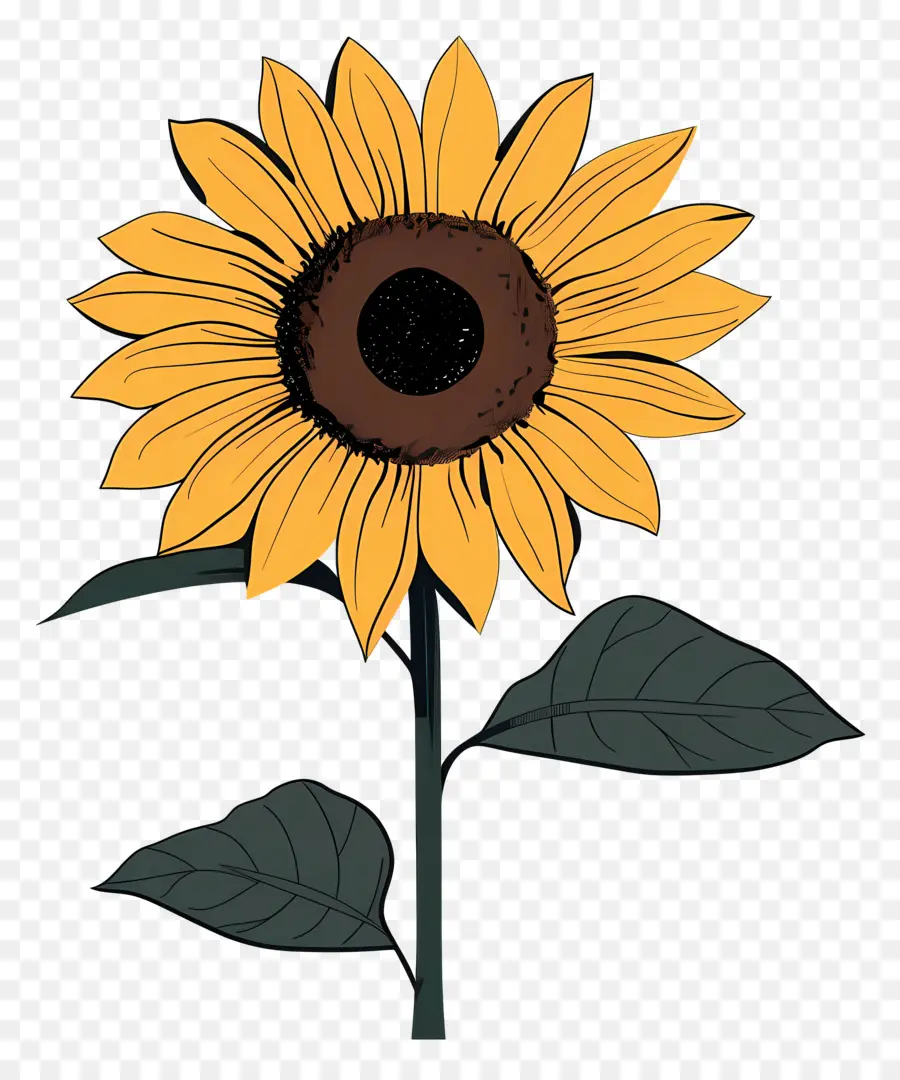 Girasol，Amarillo PNG