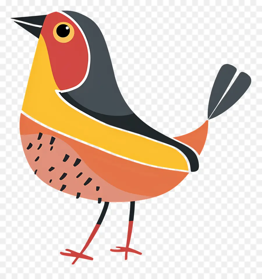 Pájaro，Plumas PNG