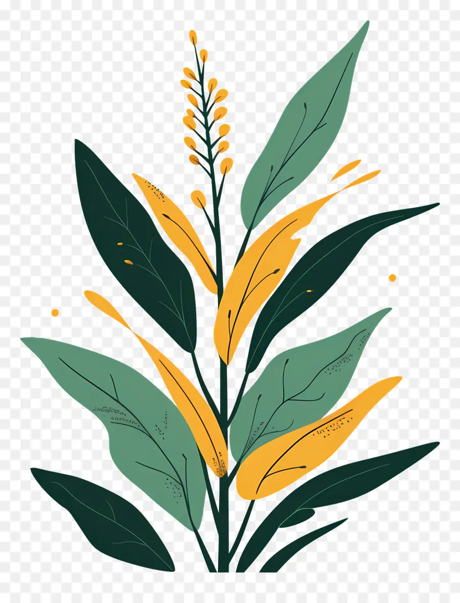 Planta，Hojas PNG