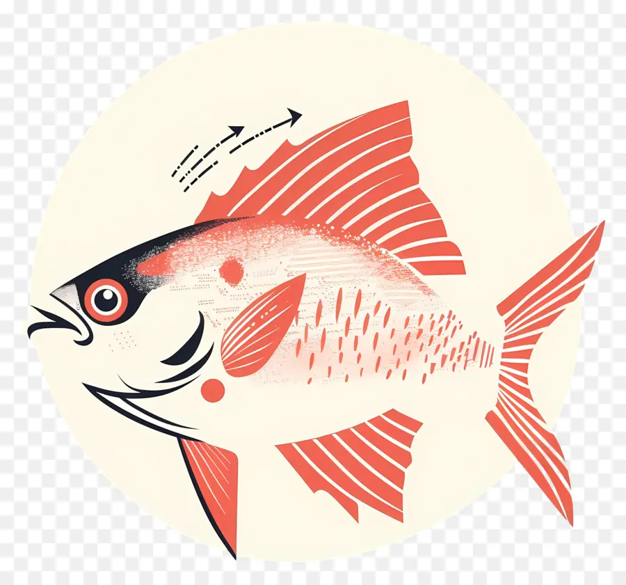 Pez，Pescado Rojo PNG