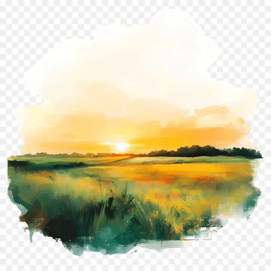 Amanecer，Campo Al Atardecer PNG