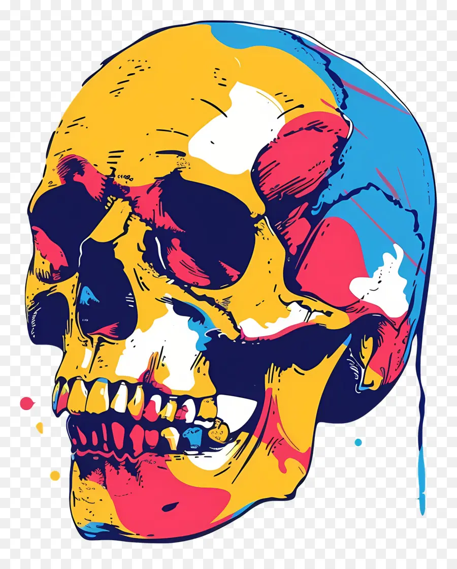 Cráneo，Calavera Colorida PNG