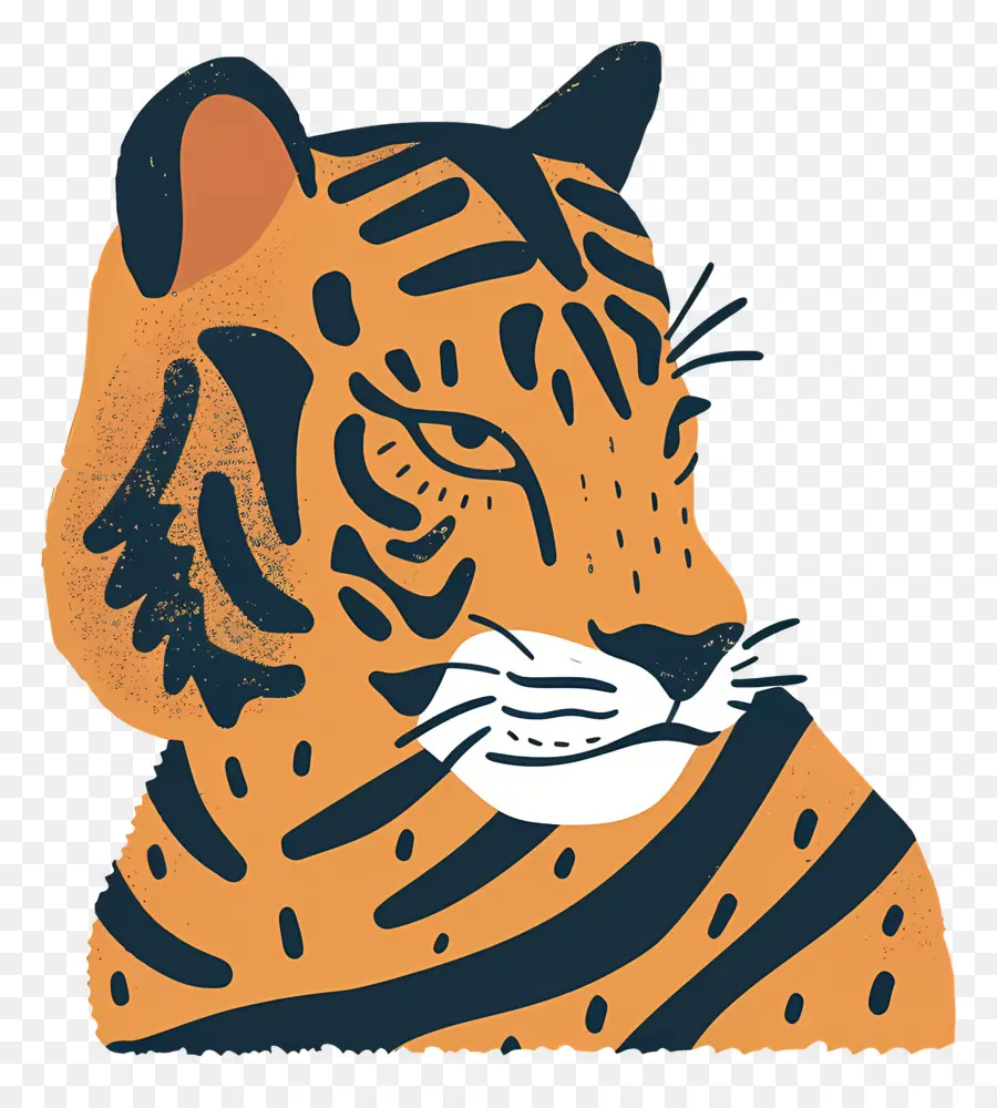 Tigre，Rayas PNG