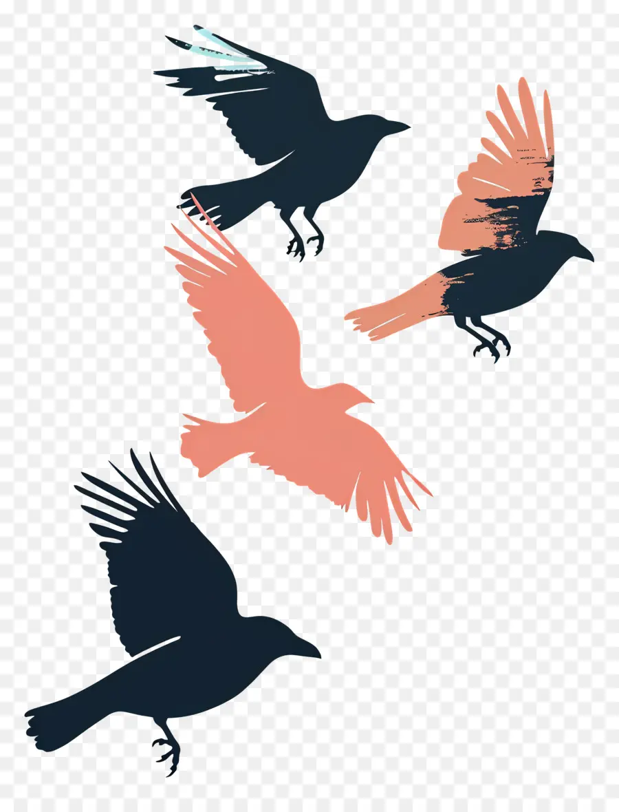 Aves，Vuelo PNG