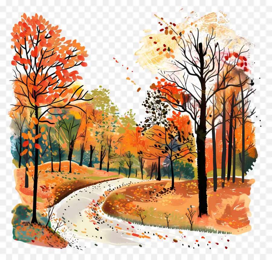 Parque De Otoño，árboles Coloridos PNG