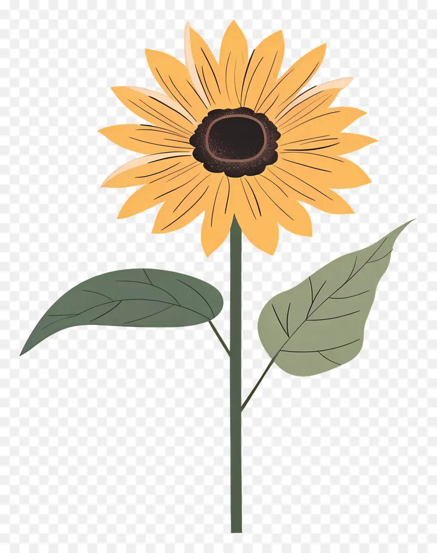 Girasol，Amarillo PNG