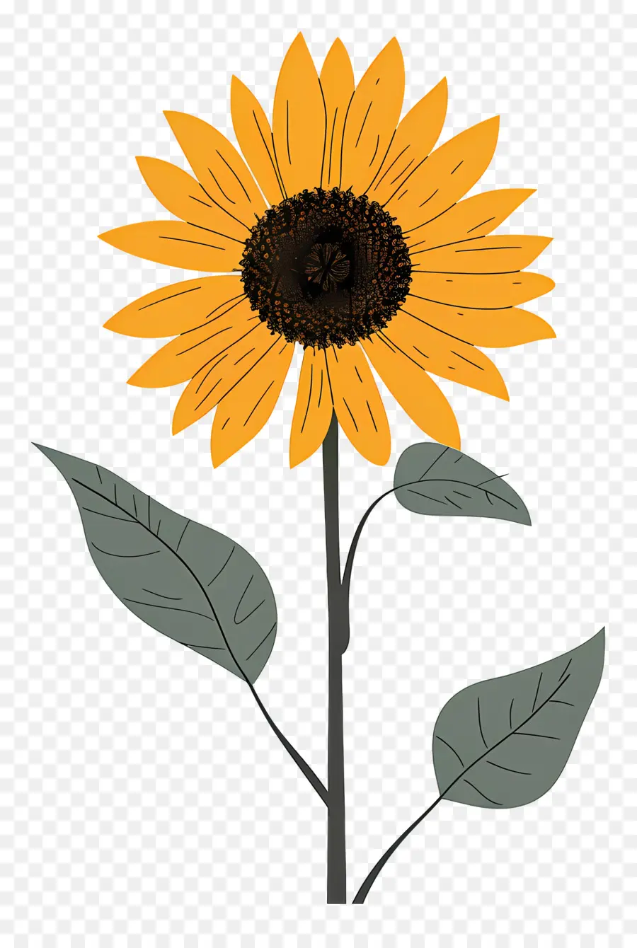 Girasol，Amarillo PNG