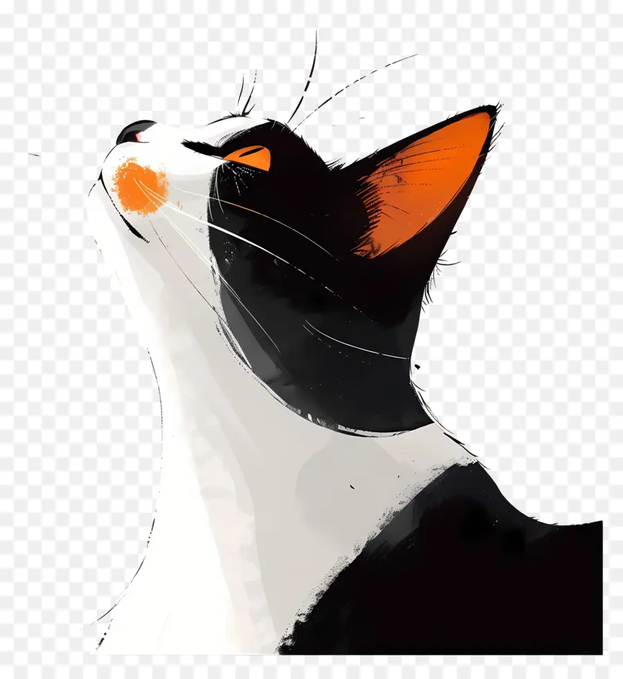 Gato，Gato Mirando Hacia Arriba PNG