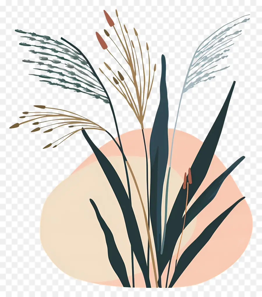 Arroz，Plantas Abstractas PNG