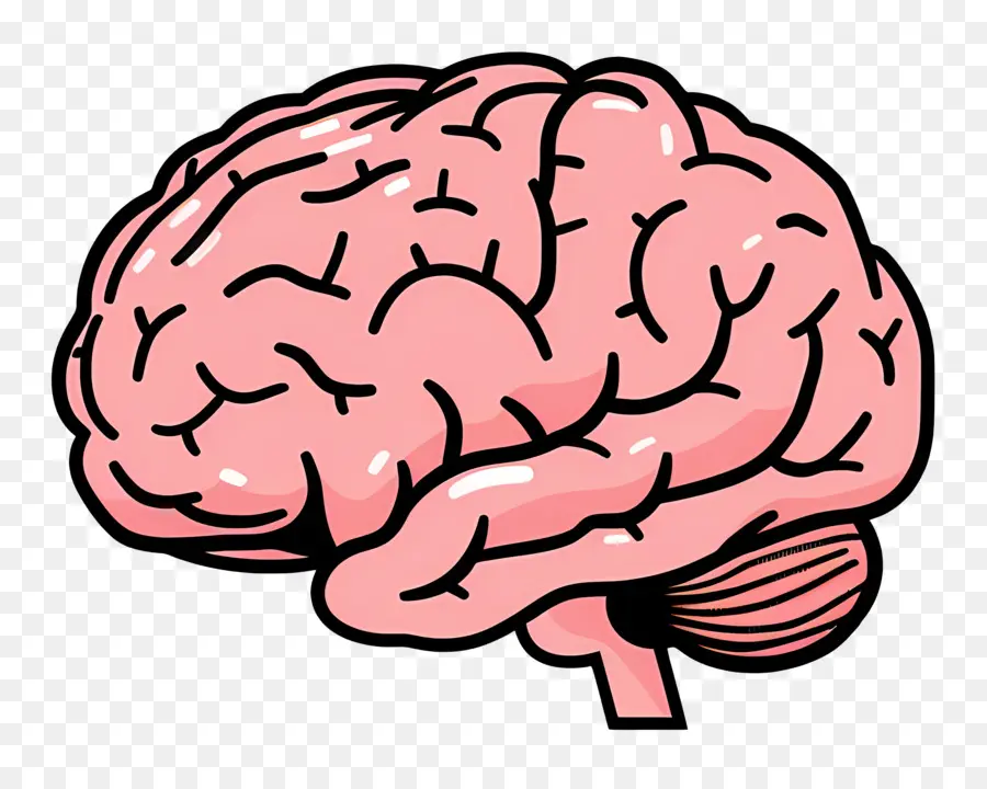 Cerebro，Dibujos Animados PNG