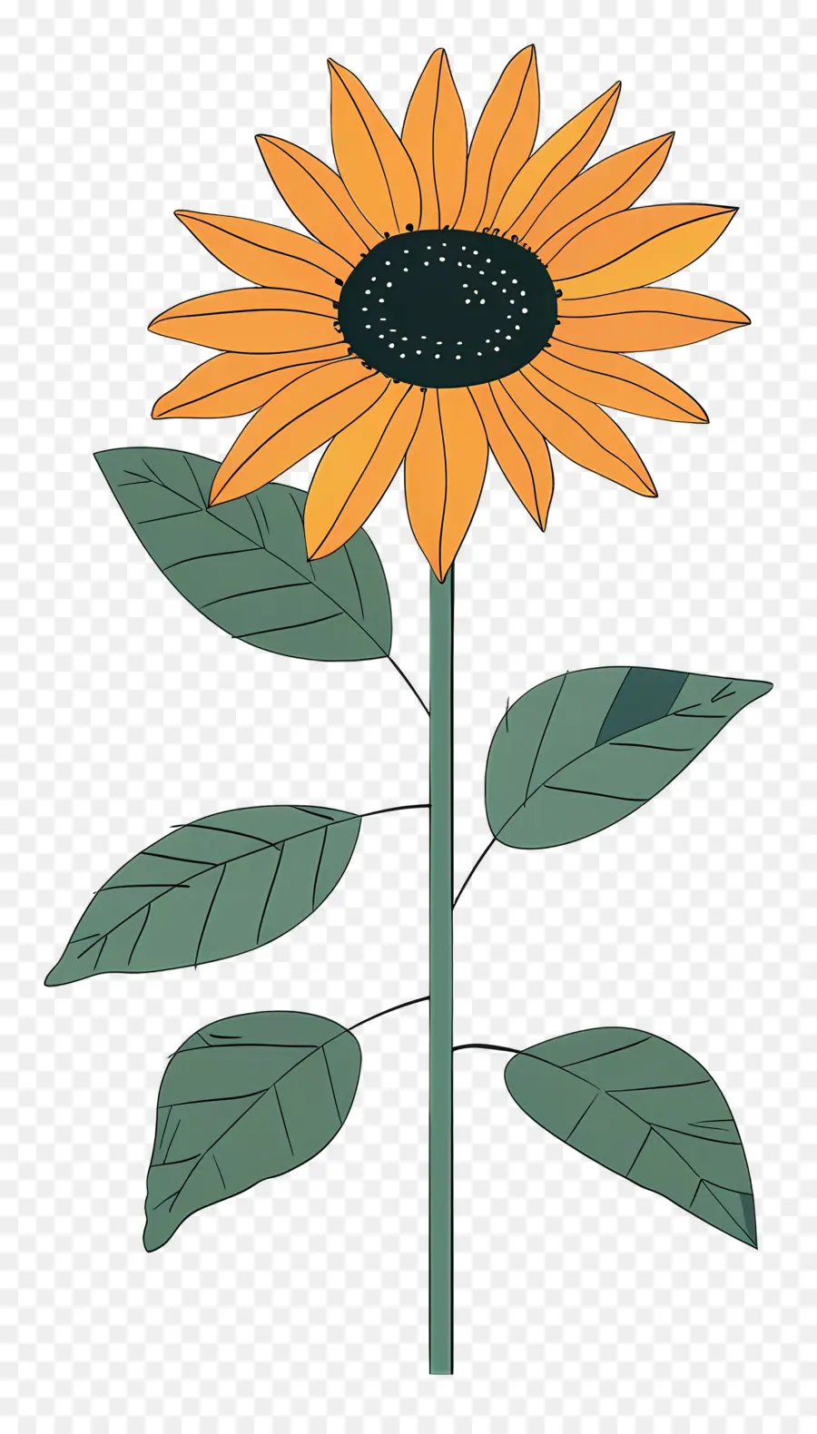 Girasol，Amarillo PNG