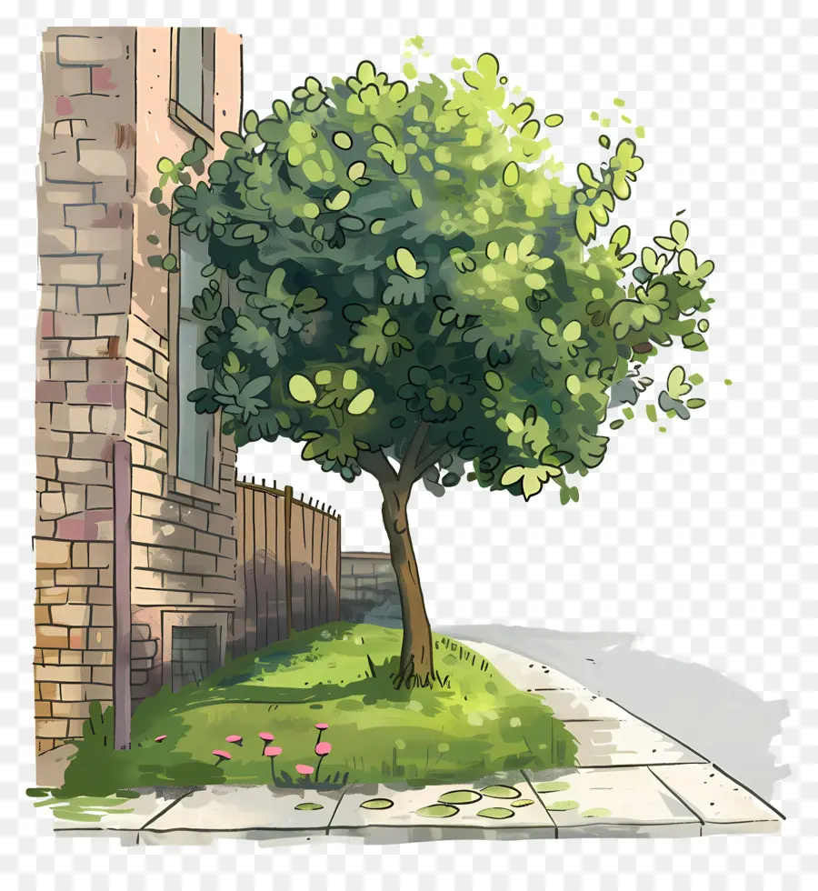 Calle，Árbol PNG