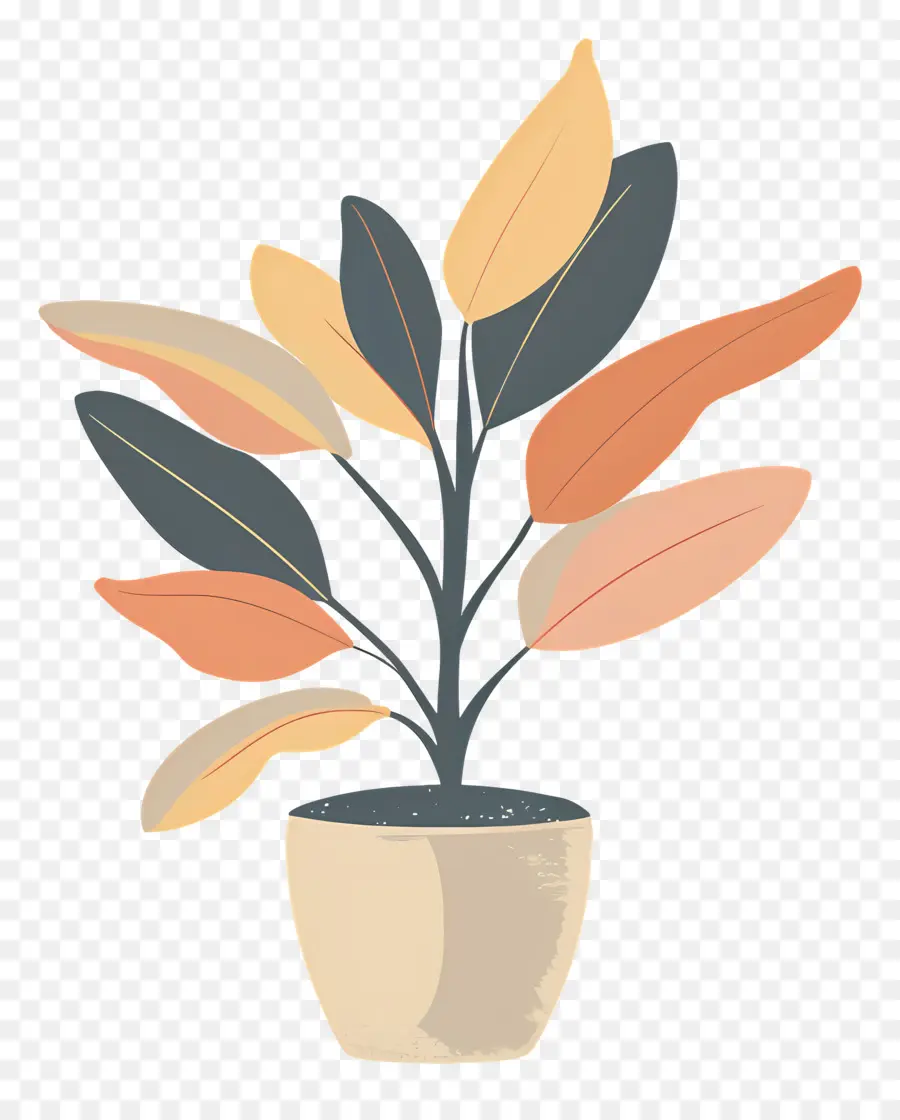 Planta，Planta En Maceta PNG