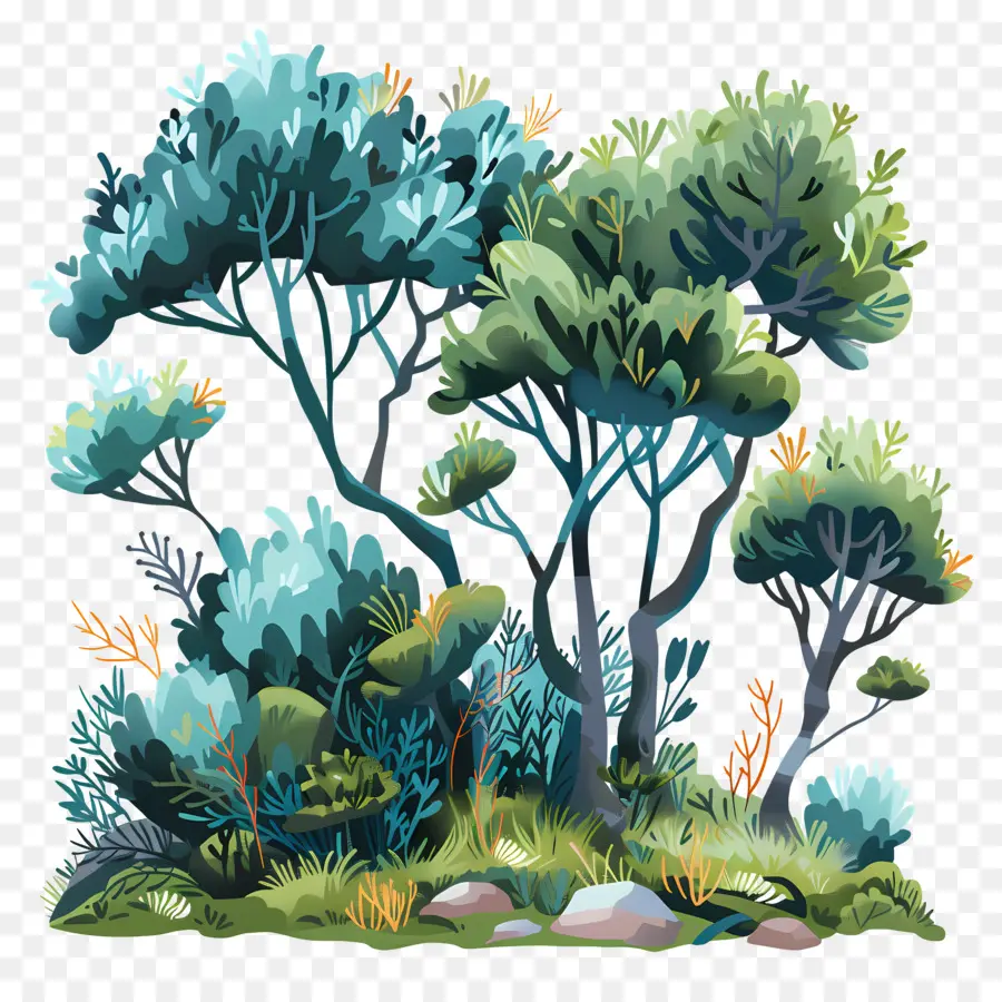 Matorral，Bosque Colorido PNG