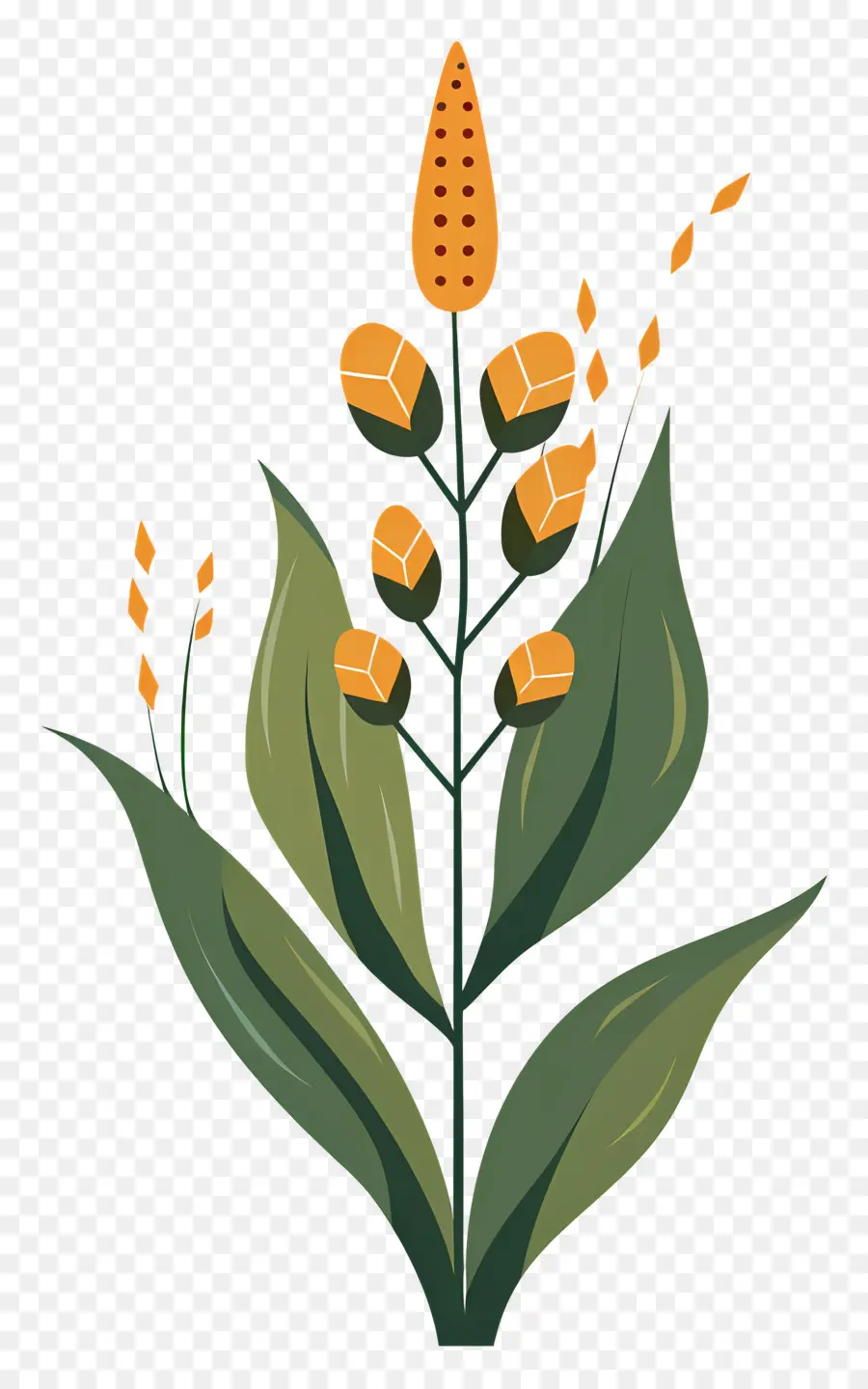 Planta，Hojas PNG