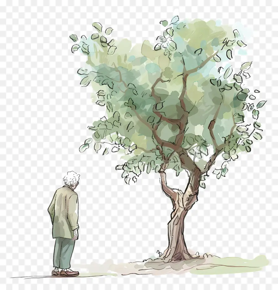 Viejo，Viejo Y árbol PNG