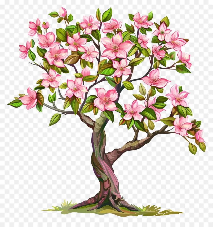 árbol Floreciente，Flores PNG